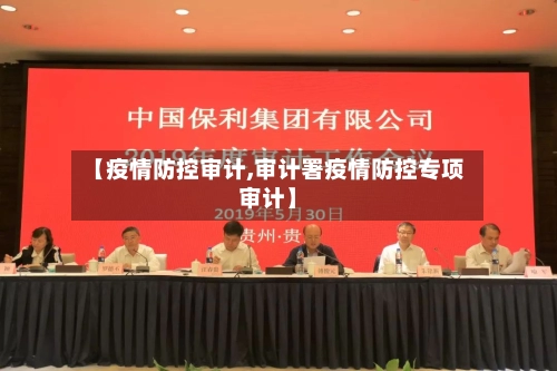 【疫情防控审计,审计署疫情防控专项审计】-第3张图片