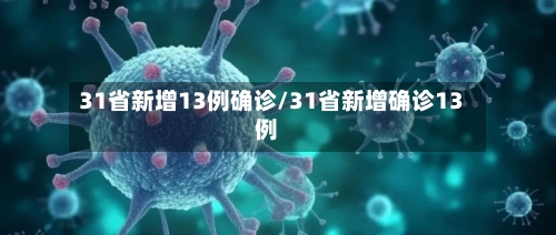 31省新增13例确诊/31省新增确诊13例-第2张图片