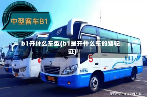 b1开什么车型(b1是开什么车的驾驶证)