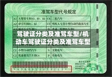 驾驶证分类及准驾车型/机动车驾驶证分类及准驾车型-第3张图片