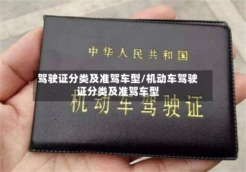 驾驶证分类及准驾车型/机动车驾驶证分类及准驾车型