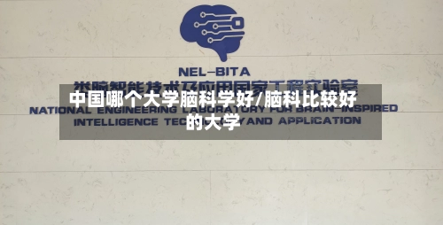 中国哪个大学脑科学好/脑科比较好的大学