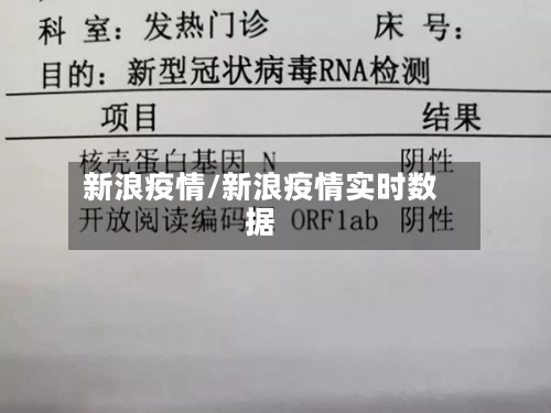 新浪疫情/新浪疫情实时数据-第2张图片