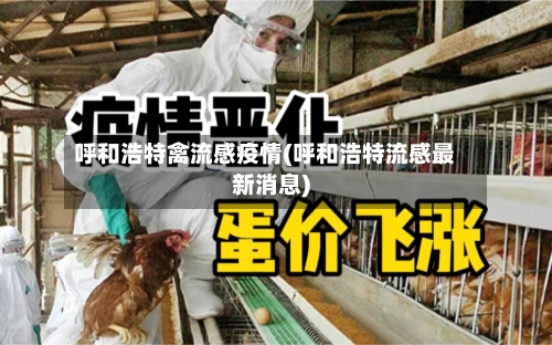 呼和浩特禽流感疫情(呼和浩特流感最新消息)