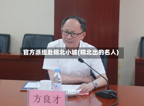 官方派组赴皖北小城(皖北出的名人)