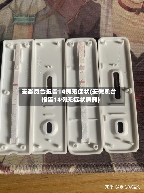 安徽凤台报告14例无症状(安徽凤台报告14例无症状病例)-第3张图片