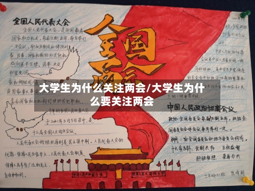 大学生为什么关注两会/大学生为什么要关注两会-第2张图片