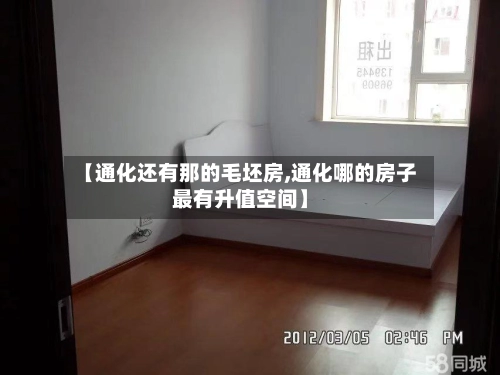 【通化还有那的毛坯房,通化哪的房子最有升值空间】