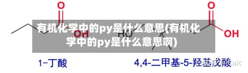 有机化学中的py是什么意思(有机化学中的py是什么意思啊)