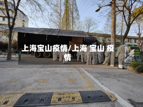 上海宝山疫情/上海 宝山 疫情
