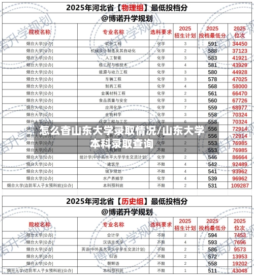 怎么杳山东大学录取情况/山东大学本科录取查询-第2张图片