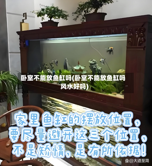 卧室不能放鱼缸吗(卧室不能放鱼缸吗风水好吗)-第2张图片