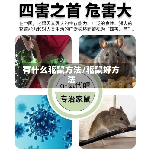 有什么驱鼠方法/驱鼠好方法-第2张图片