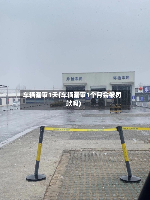车辆漏审1天(车辆漏审1个月会被罚款吗)