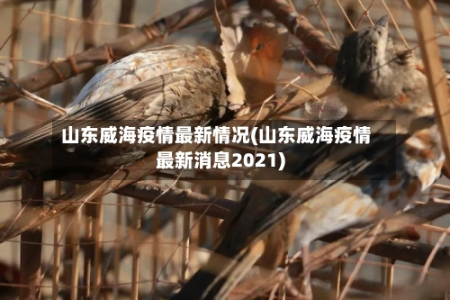 山东威海疫情最新情况(山东威海疫情最新消息2021)-第2张图片