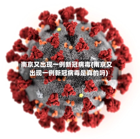 南京又出现一例新冠病毒(南京又出现一例新冠病毒是真的吗)-第2张图片