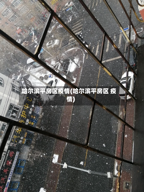 哈尔滨平房区疫情(哈尔滨平房区 疫情)