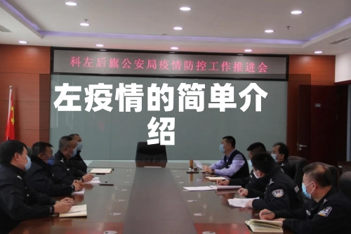 左疫情的简单介绍-第3张图片
