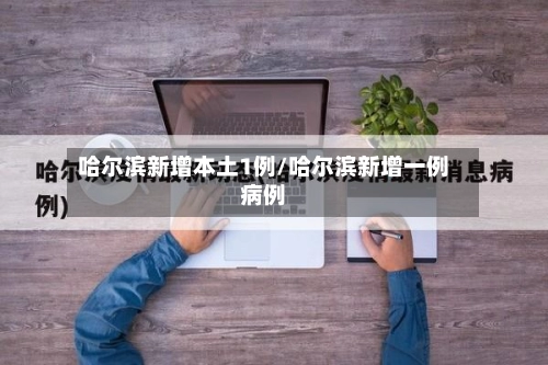 哈尔滨新增本土1例/哈尔滨新增一例病例