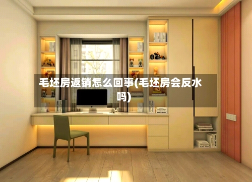 毛坯房返销怎么回事(毛坯房会反水吗)-第3张图片