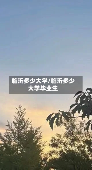 临沂多少大学/临沂多少大学毕业生