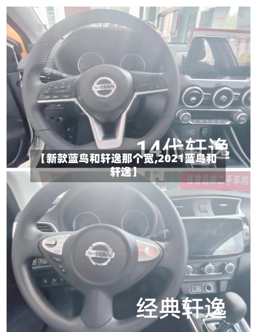 【新款蓝鸟和轩逸那个宽,2021蓝鸟和轩逸】-第2张图片
