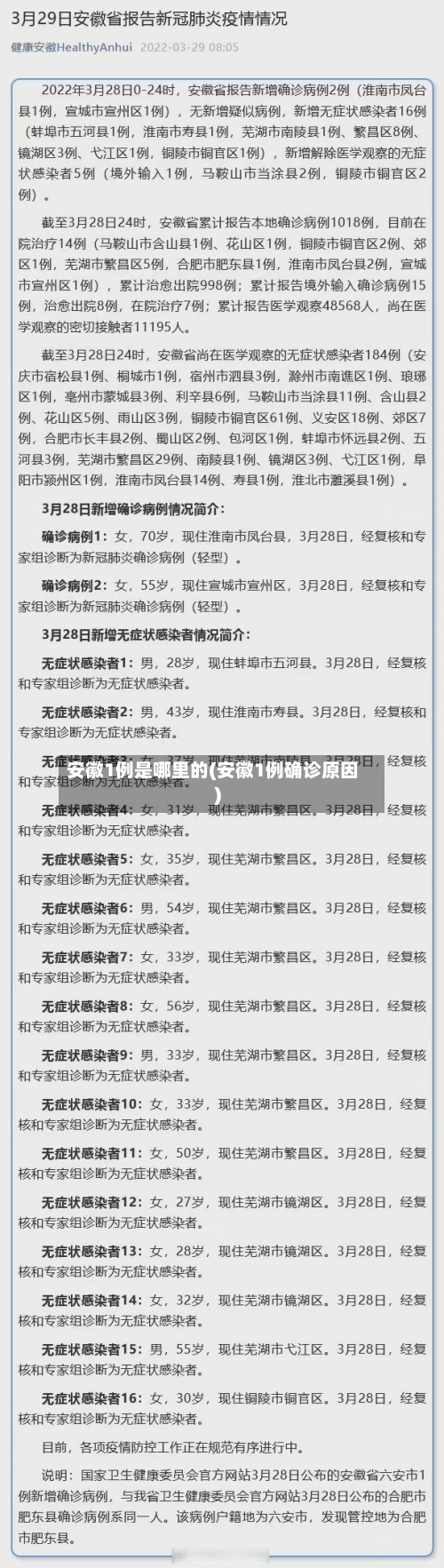 安徽1例是哪里的(安徽1例确诊原因)-第3张图片