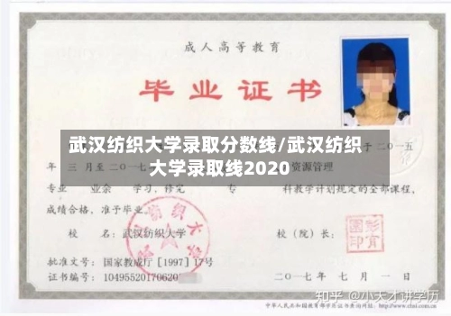 武汉纺织大学录取分数线/武汉纺织大学录取线2020-第2张图片