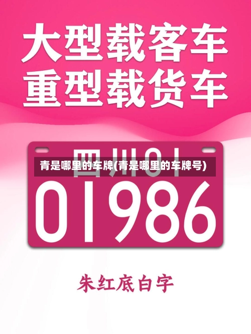 青是哪里的车牌(青是哪里的车牌号)