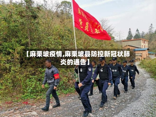 【麻栗坡疫情,麻栗坡县防控新冠状肺炎的通告】