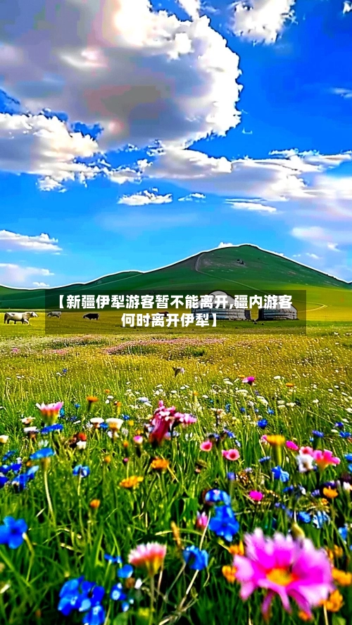 【新疆伊犁游客暂不能离开,疆内游客何时离开伊犁】-第2张图片