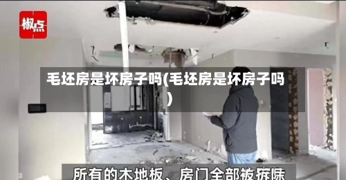 毛坯房是坏房子吗(毛坯房是坏房子吗)