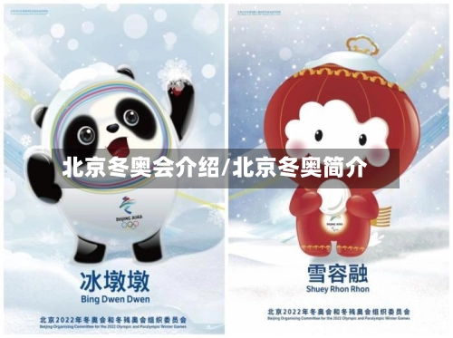 北京冬奥会介绍/北京冬奥简介-第2张图片