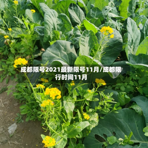 成都限号2021最新限号11月/成都限行时间11月