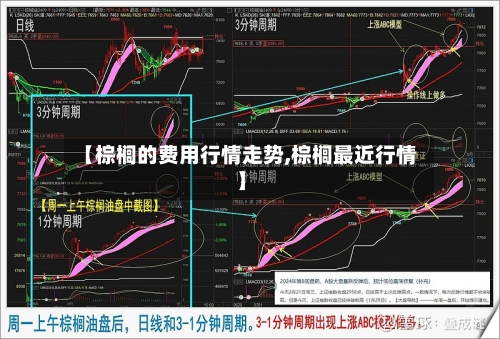 【棕榈的费用行情走势,棕榈最近行情】-第2张图片