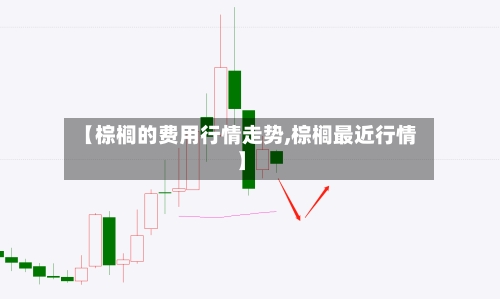 【棕榈的费用行情走势,棕榈最近行情】