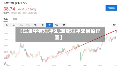 【现货中有对冲么,现货对冲交易原理图】-第3张图片