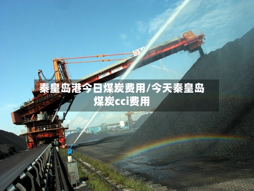 秦皇岛港今日煤炭费用/今天秦皇岛煤炭cci费用-第2张图片