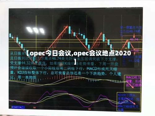 【opec今日会议,opec会议地点2020】-第2张图片