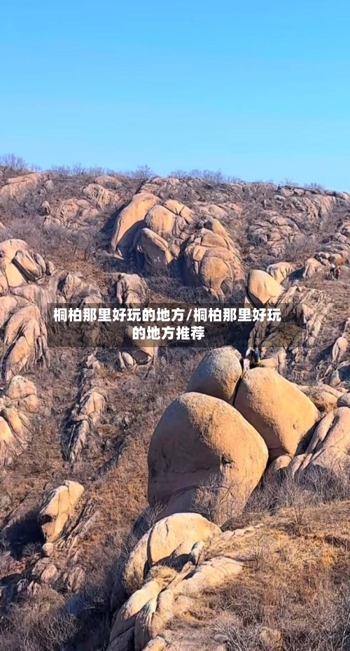 桐柏那里好玩的地方/桐柏那里好玩的地方推荐-第2张图片