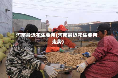 河南最近花生费用(河南最近花生费用走势)