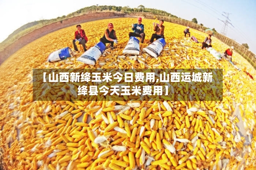 【山西新绛玉米今日费用,山西运城新绛县今天玉米费用】-第2张图片