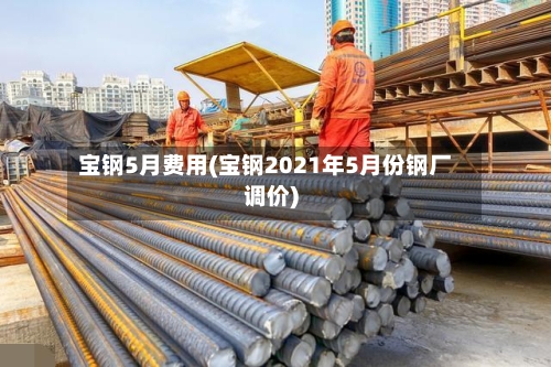 宝钢5月费用(宝钢2021年5月份钢厂调价)