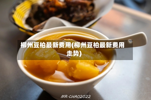 柳州豆柏最新费用(柳州豆柏最新费用走势)