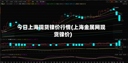 今日上海现货镍价行情(上海金属网现货镍价)