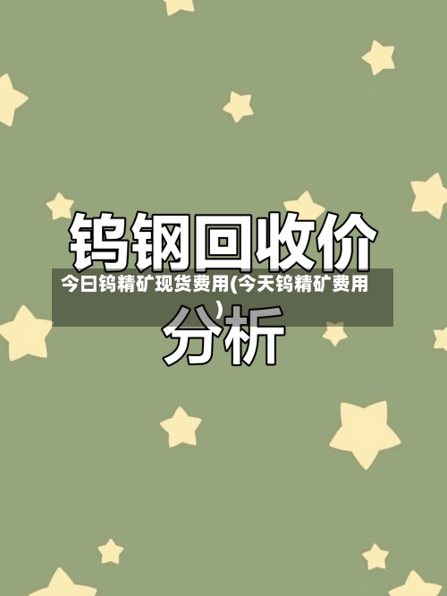 今曰钨精矿现货费用(今天钨精矿费用)