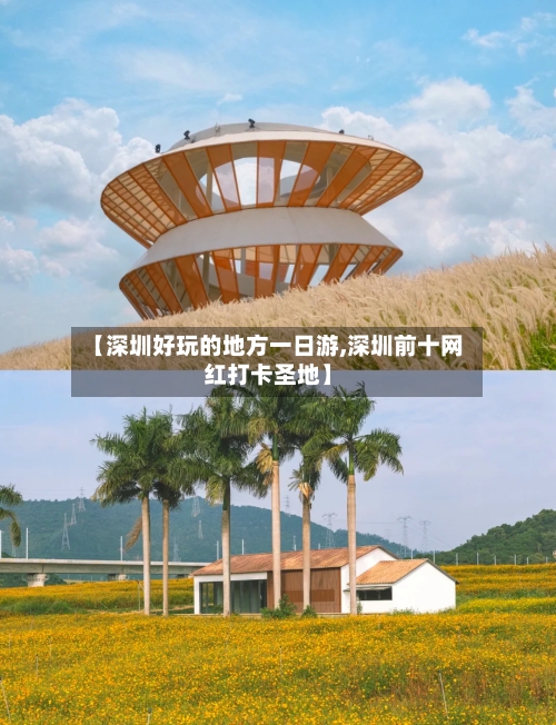 【深圳好玩的地方一日游,深圳前十网红打卡圣地】