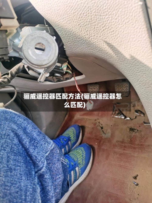 骊威遥控器匹配方法(骊威遥控器怎么匹配)-第3张图片