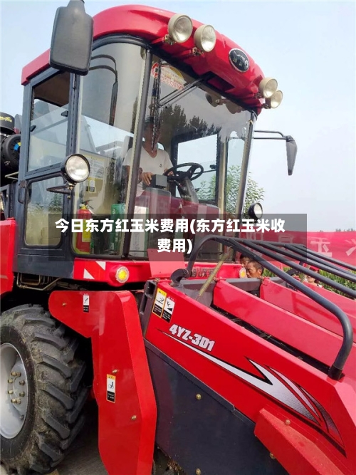 今日东方红玉米费用(东方红玉米收费用)-第2张图片