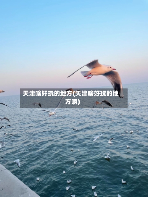 天津啥好玩的地方(天津啥好玩的地方啊)